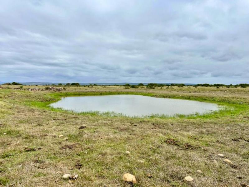 0 Bedroom Property for Sale in Mossel Bay Rural Western Cape